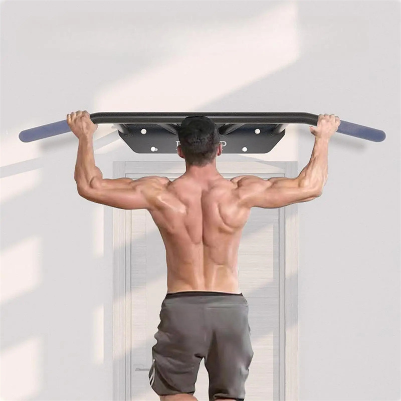 Palang Latihan Tarik di Pintu  - Home Gym Wall ulasan dan harga