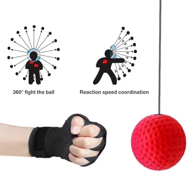 Bola Kecepatan Tinju yang Dipa - Home Gym Online ulasan dan harga